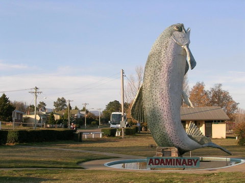 Cooma Motor Lodge Motel - Broome Tourism 19