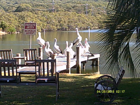 Pelican H2O One & Two Bedroom Apartments - Broome Tourism 9