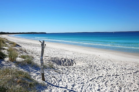Sandy Toes Beach House Jervis Bay - 2min To Beach - Broome Tourism 22