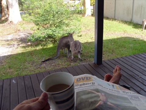 Bush & Bay Cottage - Broome Tourism 29