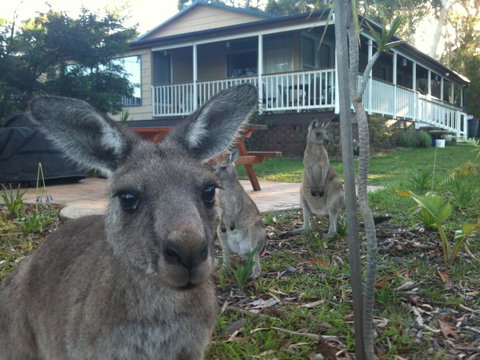 Bush & Bay Cottage - Broome Tourism 0
