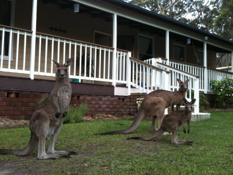 Bush & Bay Cottage - Broome Tourism 30