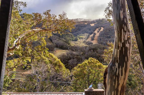 Pure Chalet Thredbo - Broome Tourism 35