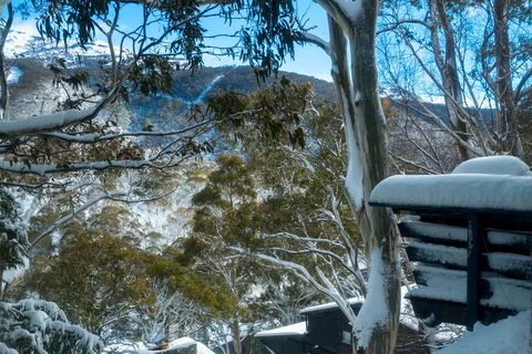 Pure Chalet Thredbo - Broome Tourism 30
