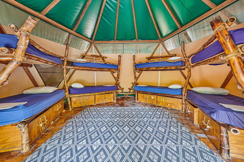 Arts Factory By Nomads - Broome Tourism 4