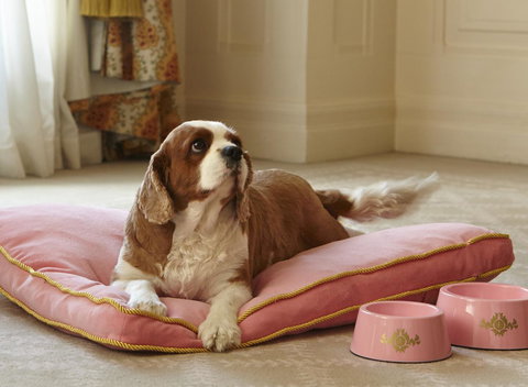 The Langham Sydney - Broome Tourism 23