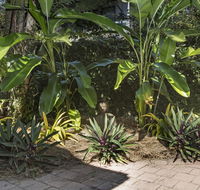 Nineteen on Nudl - Broome Tourism