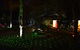 Alice\'s Secret Travellers Inn - thumb 33