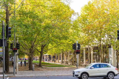 Highgate Executive Apartment City Walk Canberra - Broome Tourism 37