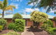 Bottlebrush - thumb 1