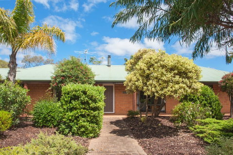 Bottlebrush - Broome Tourism 1