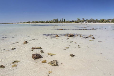 Bottlebrush - Broome Tourism 2