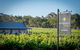 Brockenchack Vineyard Bed & Breakfast - thumb 2