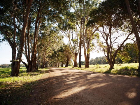 Bussells Bushland Cottages - Broome Tourism 1