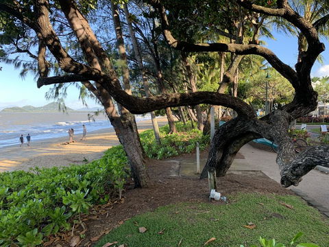 Cairns Palm Cove Studio - Broome Tourism 3