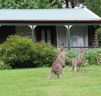 Cedar Lodge Cabins - Broome Tourism