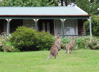 Book Mount Victoria Accommodation Vacations Broome Tourism Broome Tourism