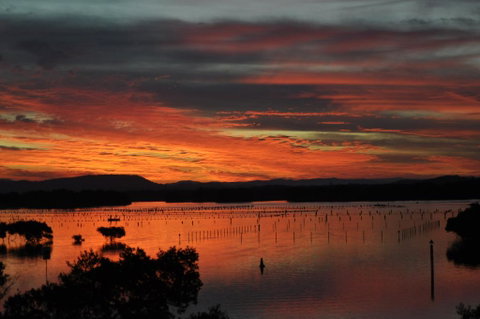CHILL-OUT LAKESIDE @ FORSTER - Broome Tourism 3