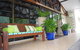 Colonial Palms Motor Inn - thumb 3