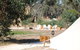 Cosy Tents - Daylesford - thumb 3