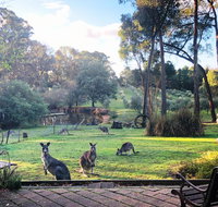Countryside Retreat Spa Cottage Hepburn - Daylesford - Broome Tourism