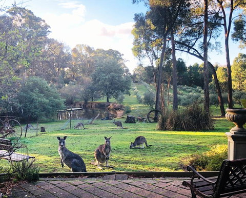 Countryside Retreat Spa Cottage Hepburn - Daylesford - Broome Tourism 0