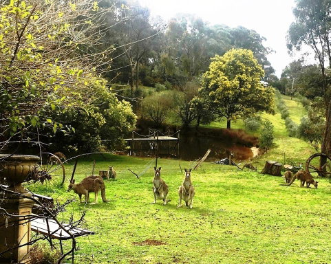 Countryside Retreat Spa Cottage Hepburn - Daylesford - Broome Tourism 1