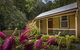 Creek Cottage - thumb 1