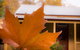 Creek Cottage - thumb 3