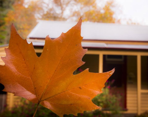 Creek Cottage - Broome Tourism 3