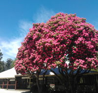 Crossways Country Inn - Broome Tourism