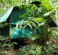 Daintree Crocodylus - Broome Tourism