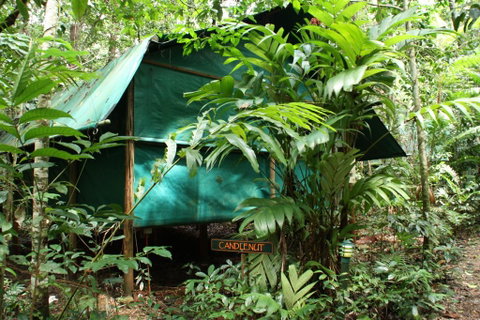 Daintree Crocodylus - Broome Tourism 0