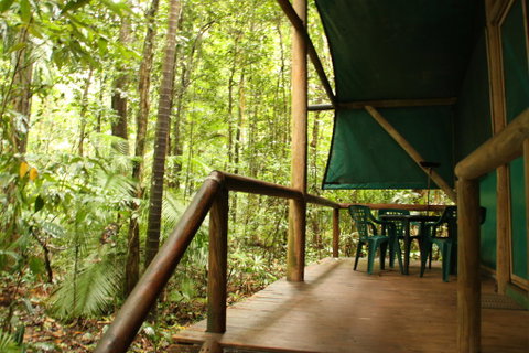 Daintree Crocodylus - Broome Tourism 1