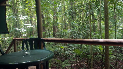 Daintree Crocodylus - Broome Tourism 2