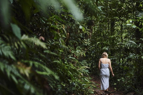 Daintree Ecolodge - Broome Tourism 2