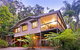 Daintree Magic - thumb 0