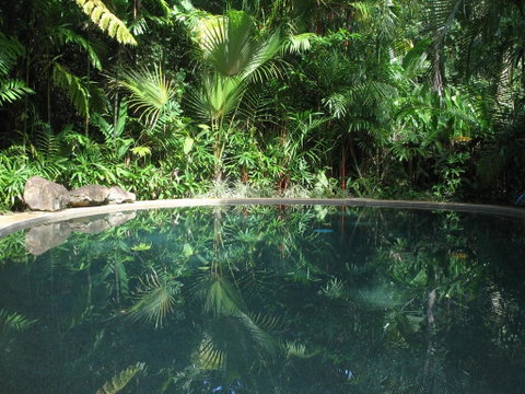 Daintree Rainforest Retreat Motel - Broome Tourism 0