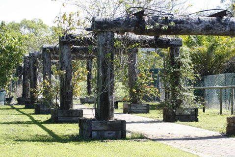 Daintree Wild Bed & Breakfast - Broome Tourism 2