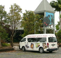 Daintree Wild Bed  Breakfast - Broome Tourism