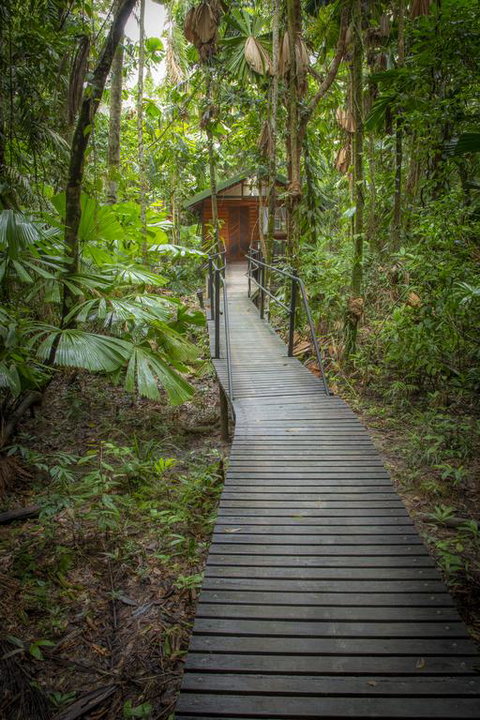 Daintree Wilderness Lodge - Broome Tourism 3
