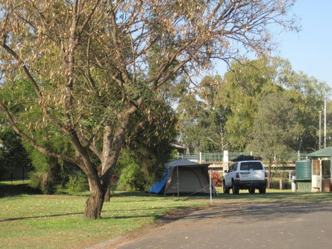 Dalby Tourist Park - Broome Tourism 3