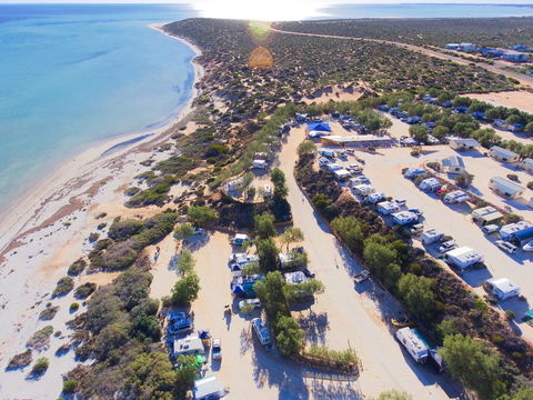 Denham Seaside Caravan Park - Broome Tourism 0