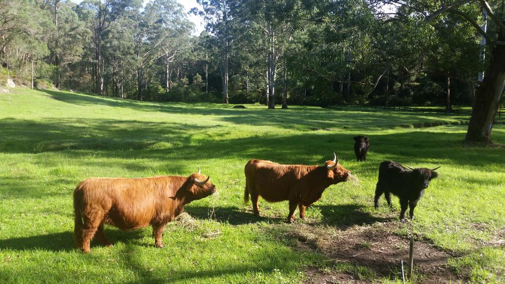 Annangrove NSW Broome Tourism