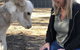 Donkey Tales Farm Cottages - thumb 1