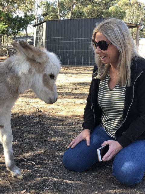 Donkey Tales Farm Cottages - Broome Tourism 1