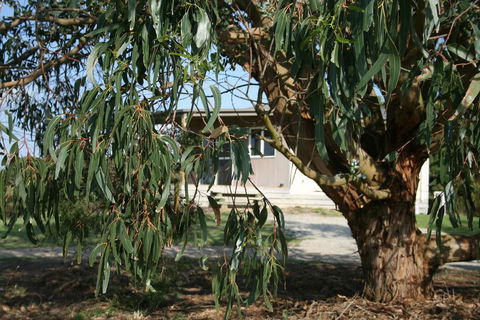 Driftwood Villas - Broome Tourism 3