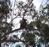 Escape to the Country - Enjoy the firepit or explore magical Bunya Mountains - Broome Tourism