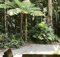 Forest Views Daintree - Broome Tourism