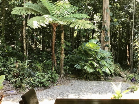 Forest Views Daintree - Broome Tourism 0